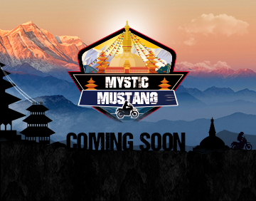 mystic-mustang